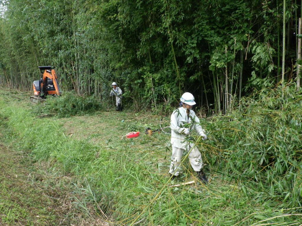 有限会社 大和工務店 除草作業（草むしり）1-2